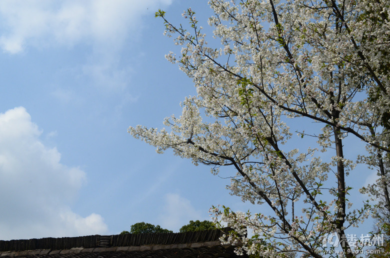 【活动】晒张图说说你周末都去干吗了 赢取精