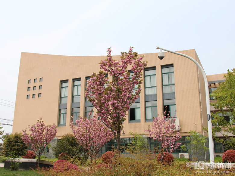 杭州滨文小学怎么样？有在滨文小学的家长吗？