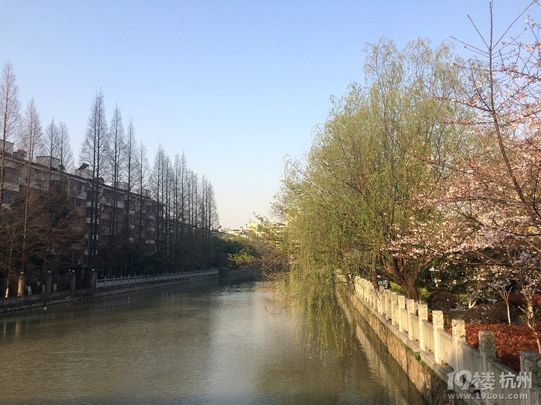 3月25日杭州市天气