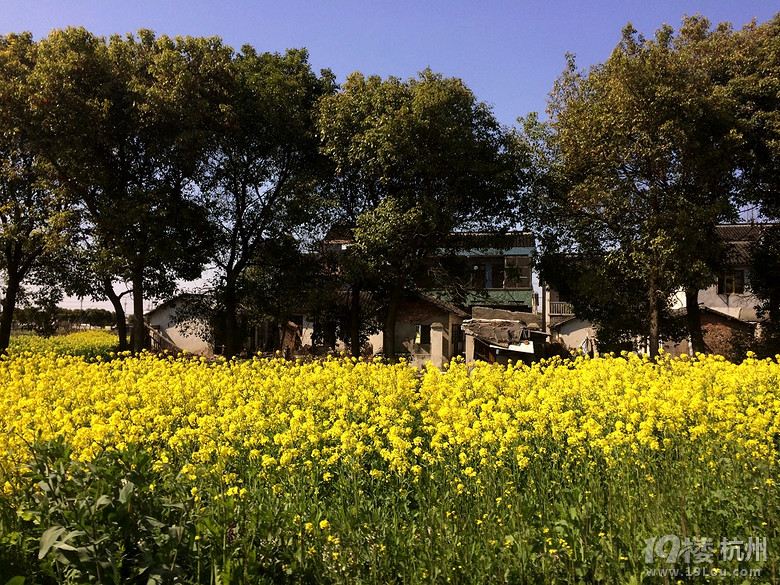 3月25日杭州市天气