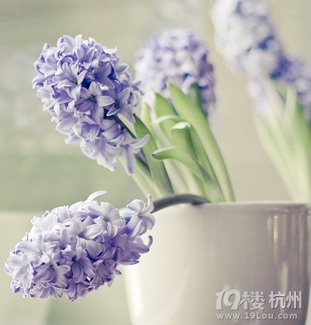 为什么月经有血块?是什么原因造成的?