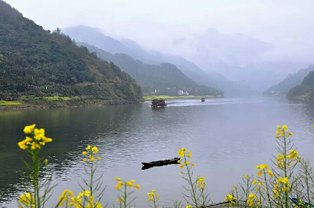 春天的新安江山水畫廊