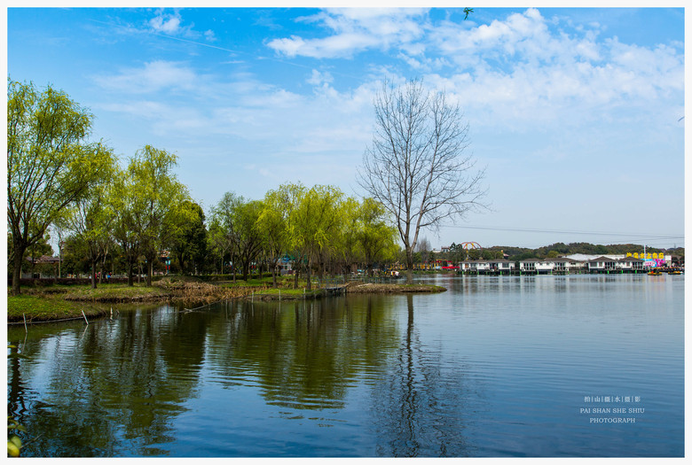 双浦初春-风景照-19摄区-杭州19楼