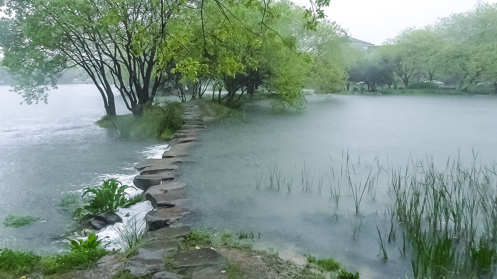 山色空蒙雨亦奇[茅家水域]