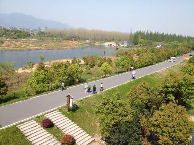 今日富阳新沙岛:太漂亮了!