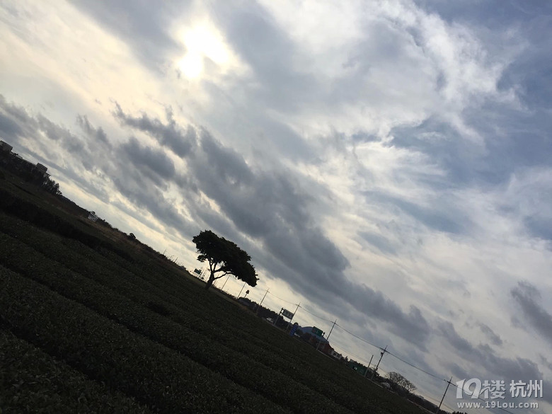 韩国思密达济州岛4天3晚(跟团游)-游记攻略-旅