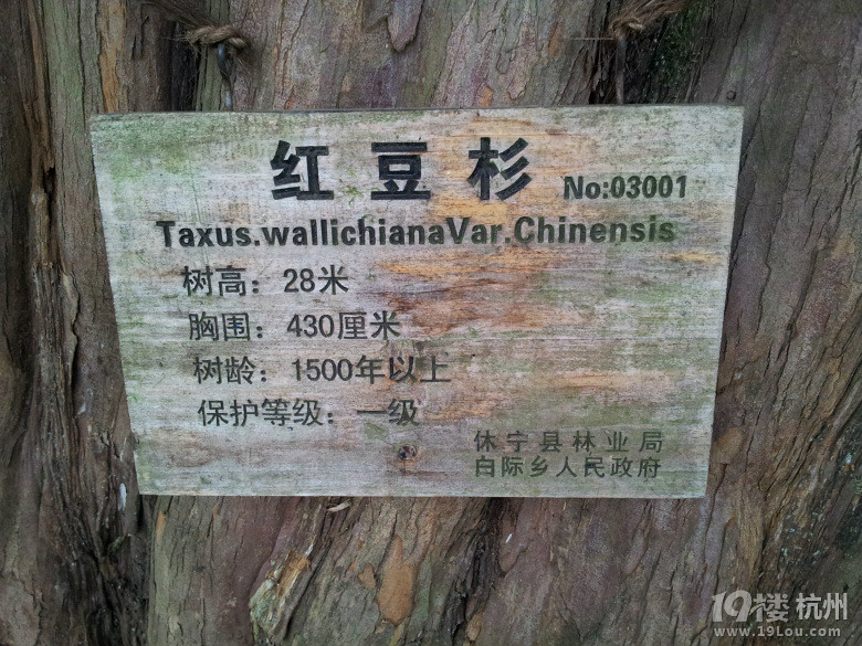 【春暖花开】江南最后的墨脱：白际