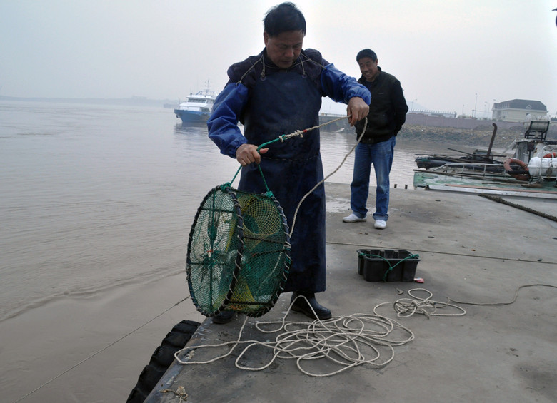 七旬渔民放蟹笼