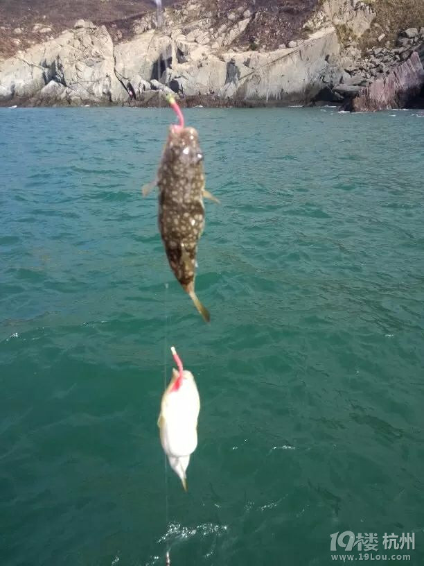 渔山海钓
