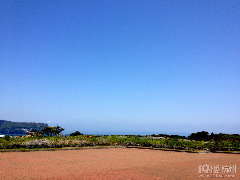 ů_korea jeju֮ һȺµŮͬ