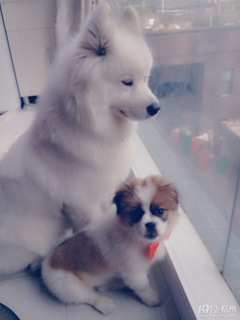 �Ҹ�������Ե�֣��Ⱳ�Ӳ���......(Lucky.�һᱣ����һ���ӣ�