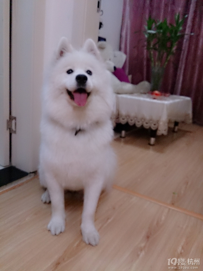 �Ҹ�������Ե�֣��Ⱳ�Ӳ���......(Lucky.�һᱣ����һ���ӣ�