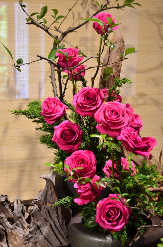 郭庄月季插花展