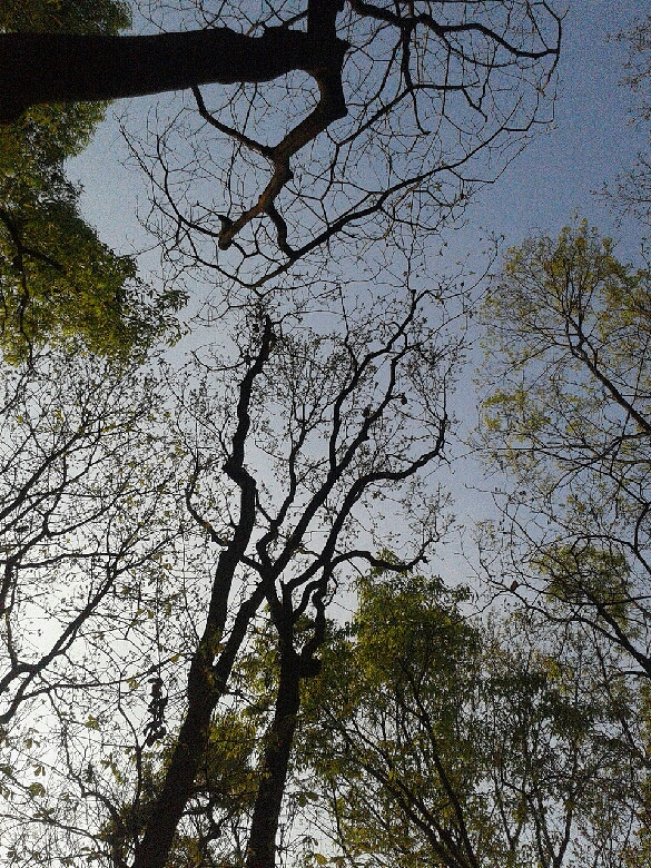 杂花生树,草长莺飞.