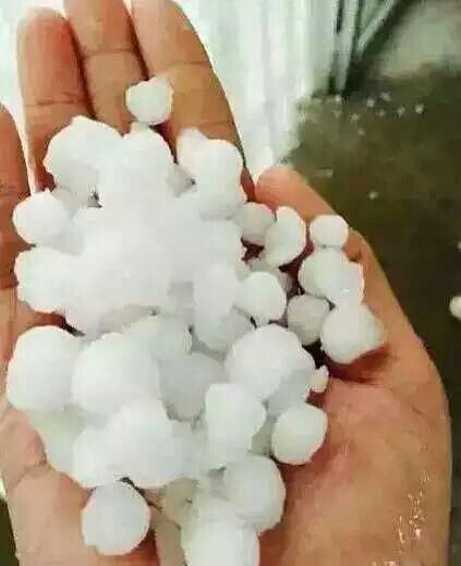 嘉兴昨晚的冰雹,也真是逆天了