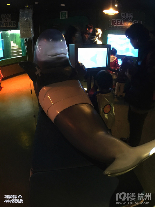 ȥСA Mar.2015 @Seoul&Busan