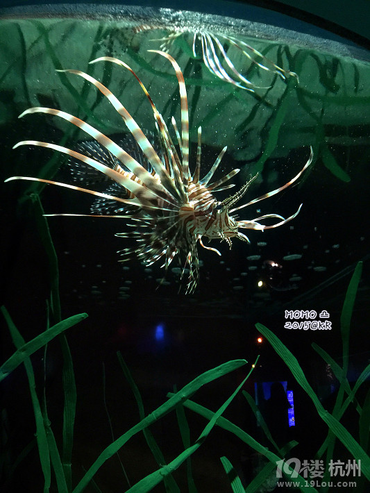 ȥСA Mar.2015 @Seoul&Busan