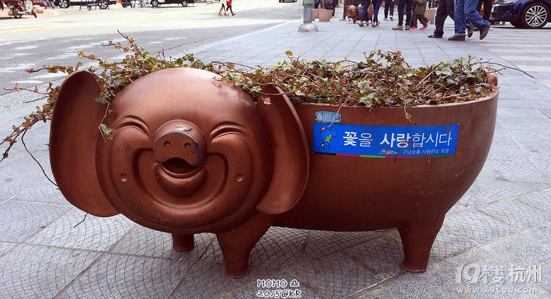 ȥСA Mar.2015 @Seoul&Busan