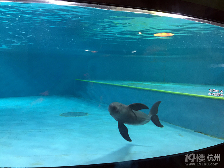 ȥСA Mar.2015 @Seoul&Busan