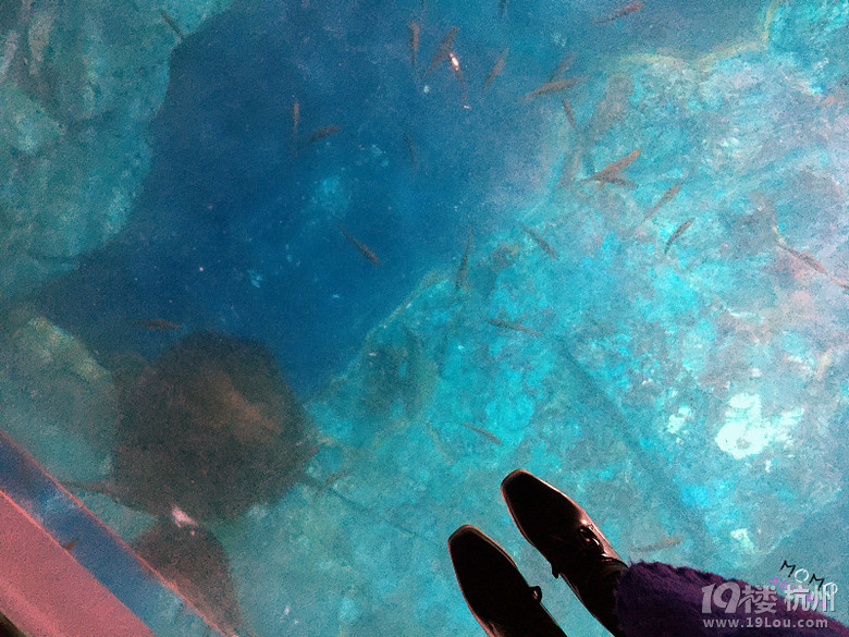 ȥСA Mar.2015 @Seoul&Busan
