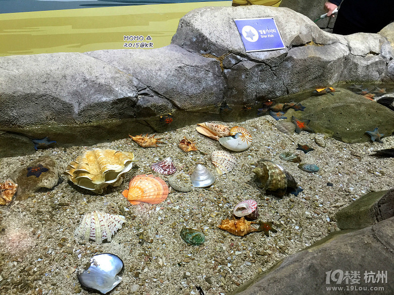 ȥСA Mar.2015 @Seoul&Busan