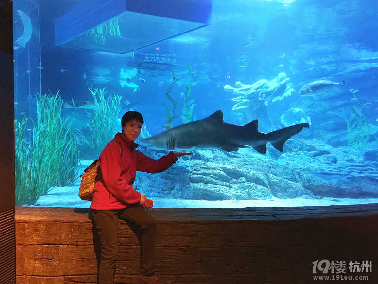 ȥСA Mar.2015 @Seoul&Busan