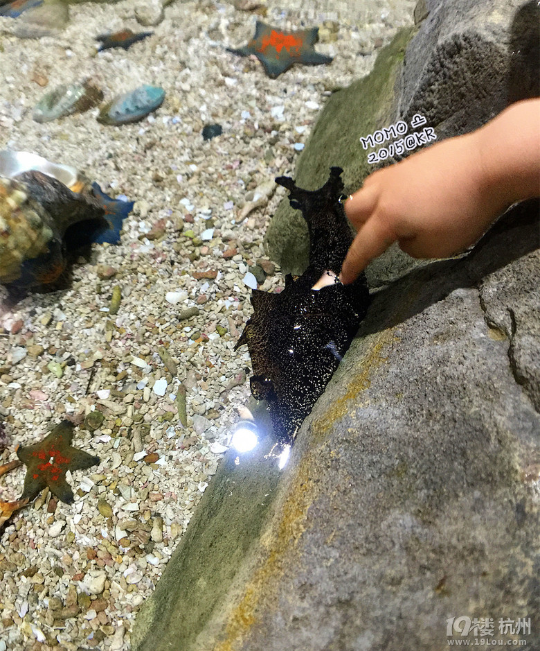 ȥСA Mar.2015 @Seoul&Busan