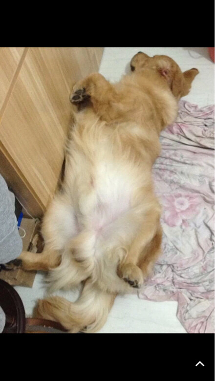 宝贝我好想你啊,你离开家已经一个月了,我