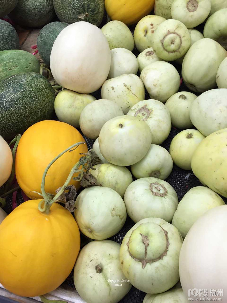 【五月去哪儿】三亚印象·一场爱与美食的旅行