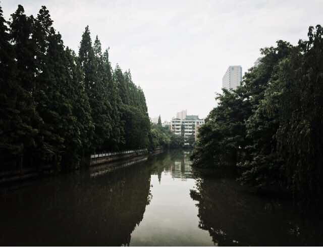 5月14日早安大雨过后空气湿润