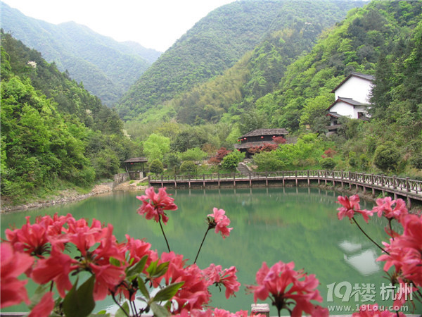 养生度假      旅游去哪儿     桐庐天子地