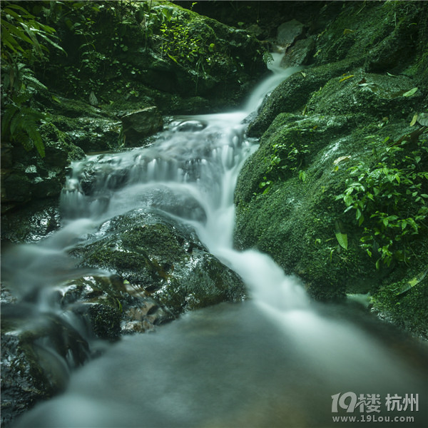 养生度假      旅游去哪儿     桐庐天子地