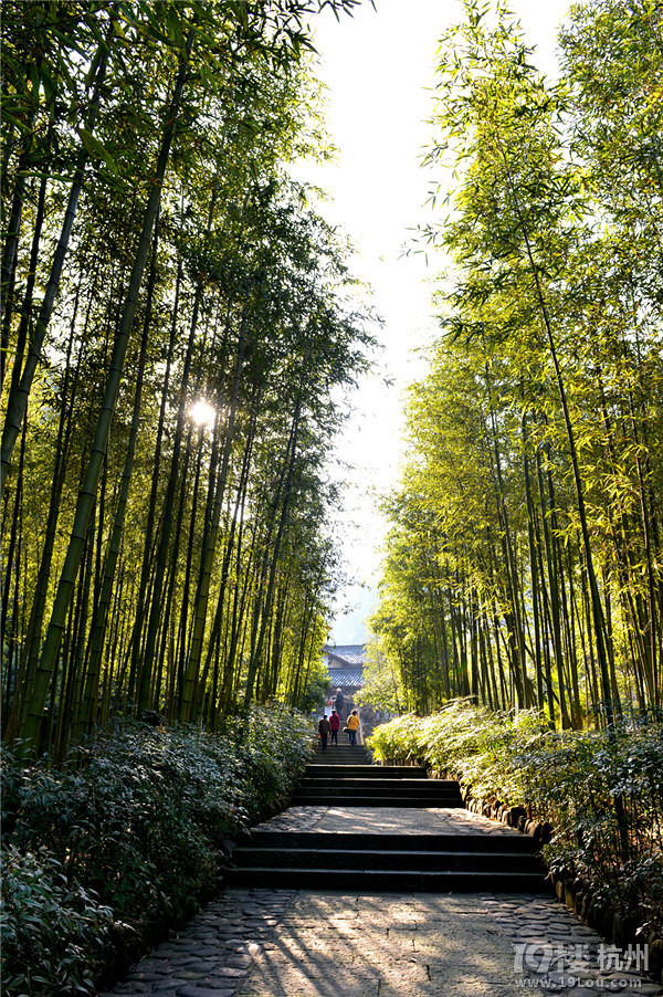 养生度假      旅游去哪儿     桐庐天子地