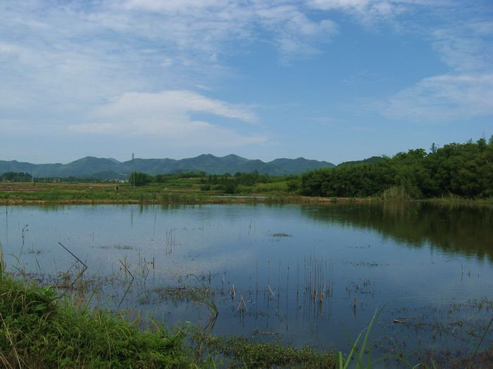 马岙水库景色