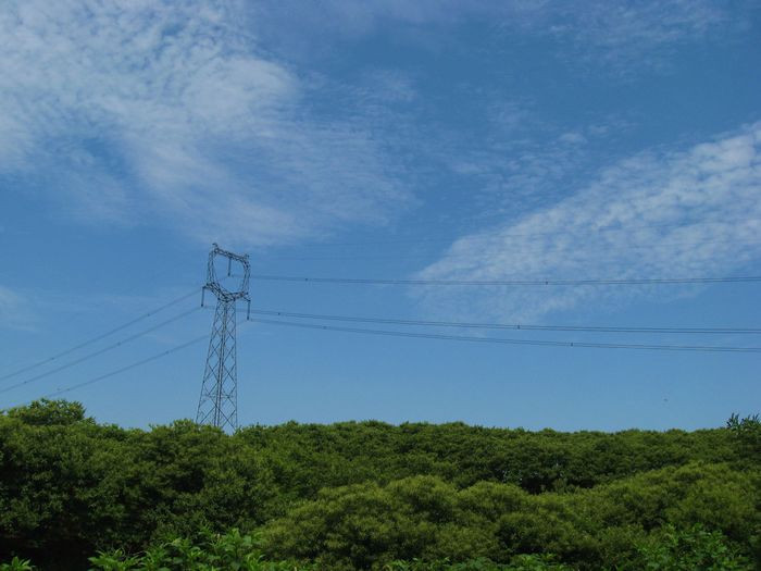 马岙水库景色