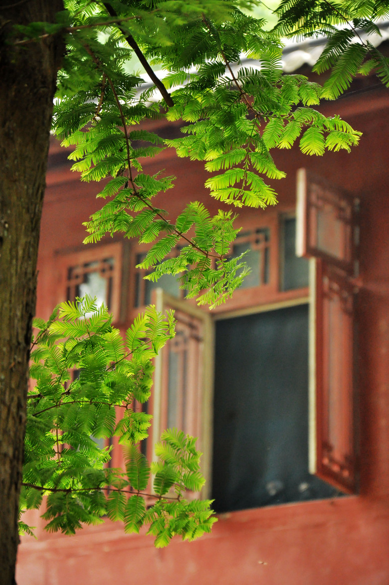 深山里的天钟禅院