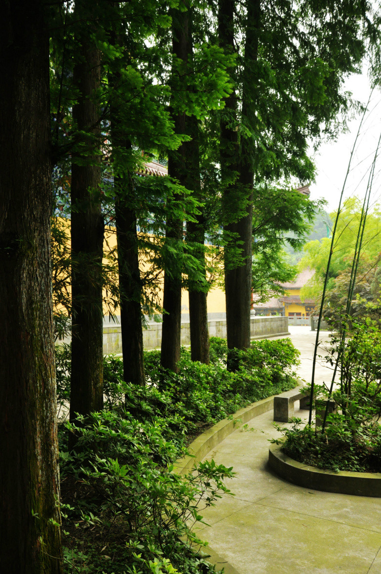 深山里的天钟禅院