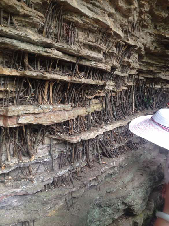 上山容易下山难,坐电梯到达袁家界,