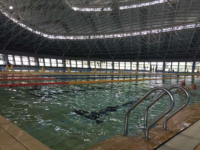 教游泳我有教练证救生证浙江救生会会