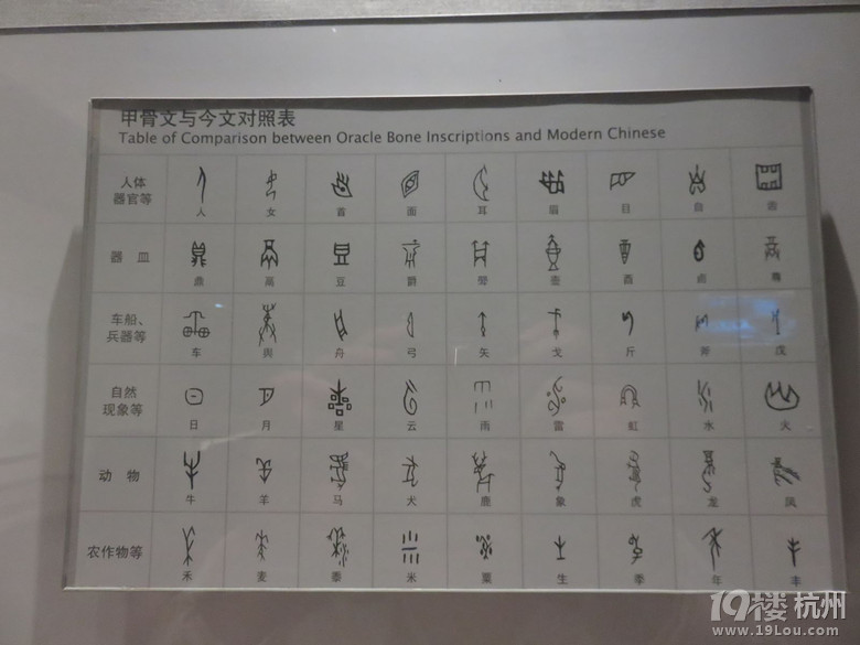 【那些年我們走過的畢業(yè)季】挺進中原