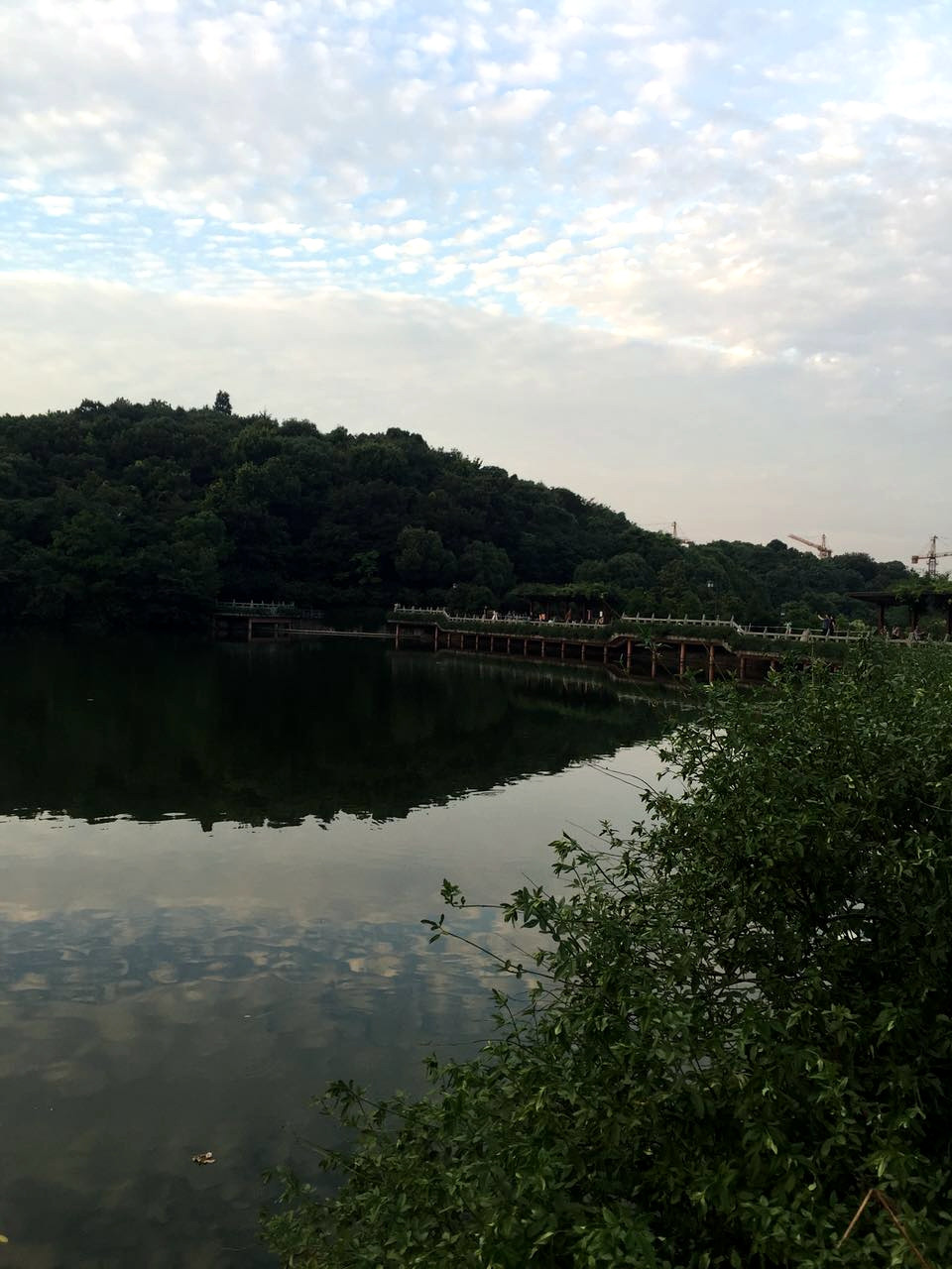 虎山公园 没事走走