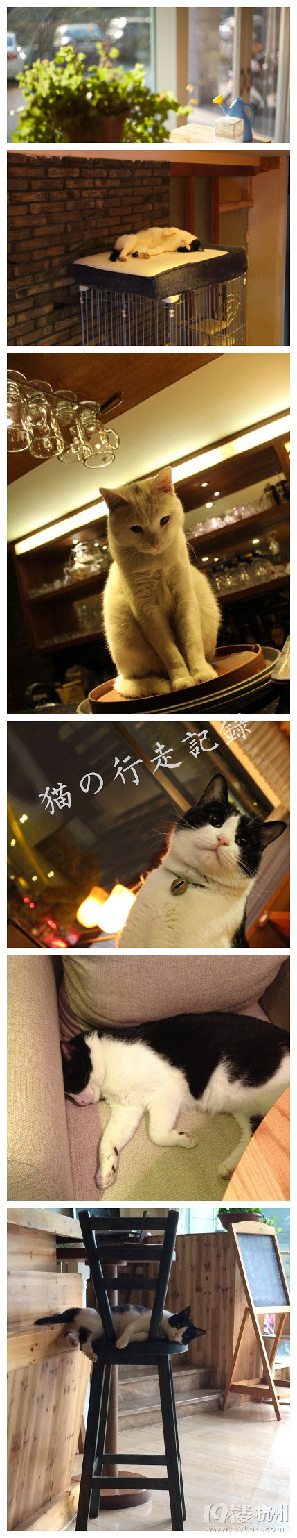 2015ں@Щ(chung)