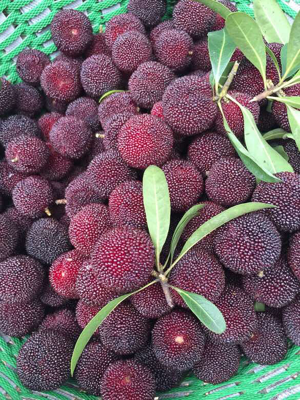 一年中最喜欢的季节,因为有你-我