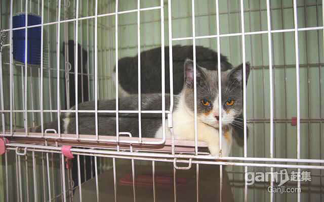 成功不是偶然,乃是靠不泄的努力