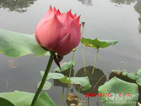 ӡS족ЩֻĈɣ