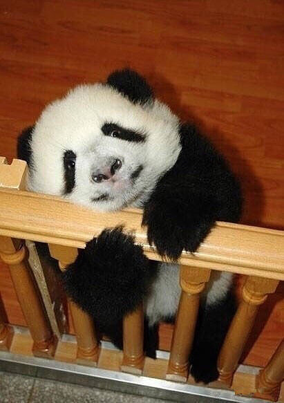 开不开心都是一天,做人还是开心点比