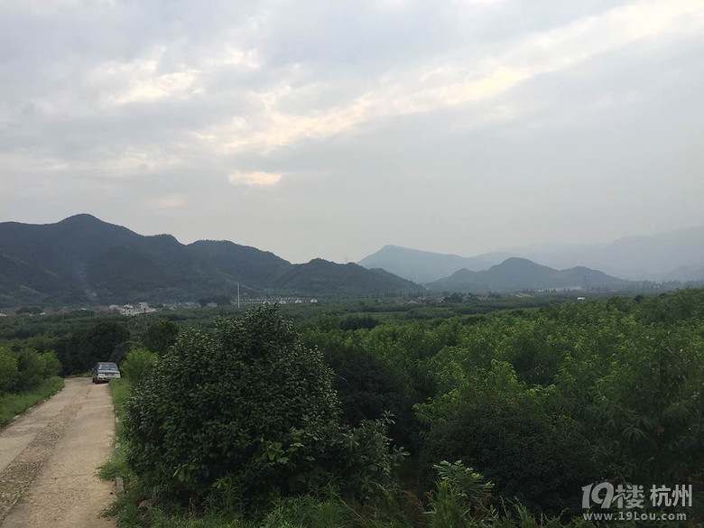 (dng)S족ЩֻĈɣ