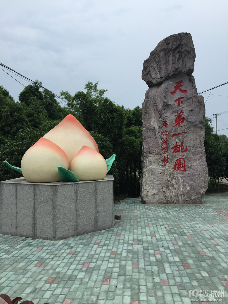 (dng)S족ЩֻĈ