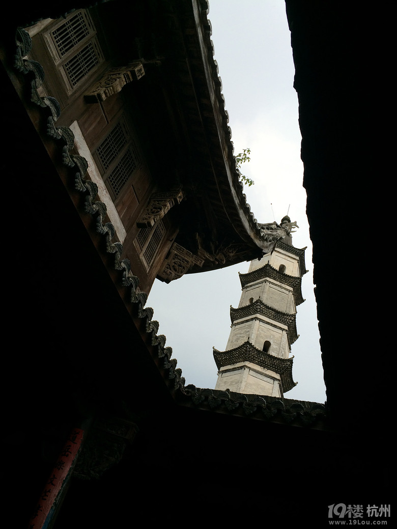 鮮果先嘗——17度的采摘游