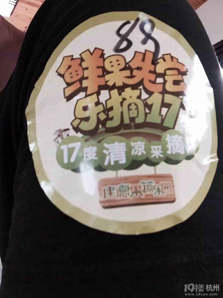 鮮果先嘗——17度的采摘游